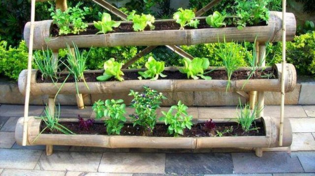Красивые грядки своими руками: 50 идей, как украсить огород и выра�стить хороший урожай